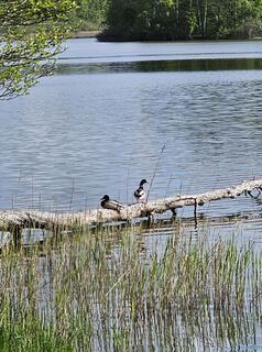 Fotografie z Angelika Gerung na trase