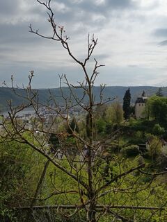 Foto de SvenScherer7 a lo largo del recorrido