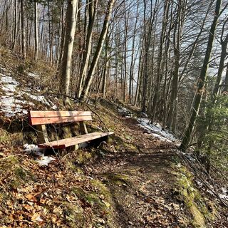 Steinköpfl-Trail - Molln