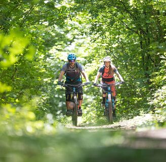 MTB im Wienerwald