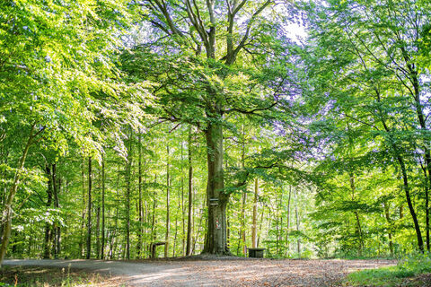220823 MER Premiumwanderweg12 kleiner