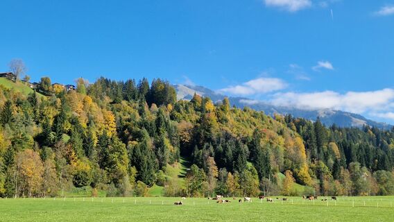 Fotografie z Erna Linser na trase