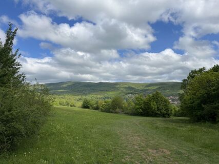 Fotografia z Levente Németh na trase