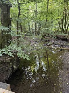 Foto von Pitter1 entlang der Tour