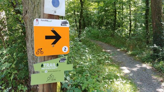 IVB MTB Tour 2 | Salzweg