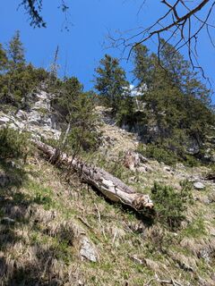 Fotografia z Carsten Holzhauer na trase