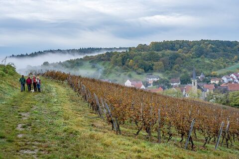 Wanderer in den Weinbergen