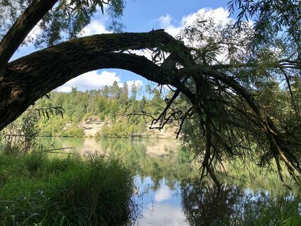 Trailrunning am Enns-Aktiv-Weg
