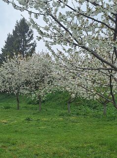 Foto de Mimi a lo largo del recorrido