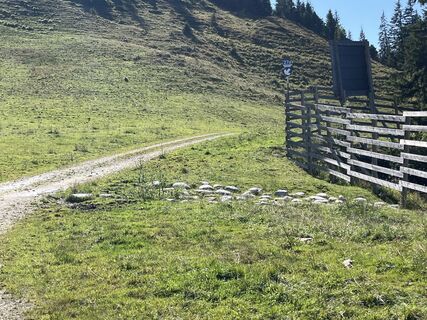 Fotó a R Hierl honlapról a túra során