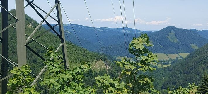 Foto von Klaus Gruber 3 entlang der Tour