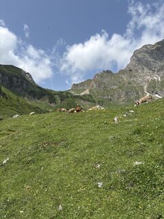 Fotó a Mandy Friedrich 1 honlapról a túra során