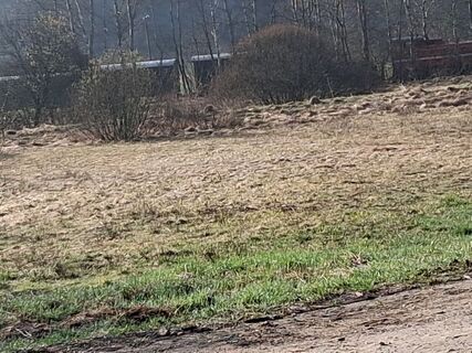 Foto von Jan Wojciechowski 1 entlang der Tour