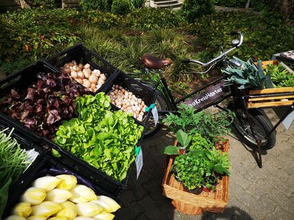 Willebadessen Hofladen Engemann