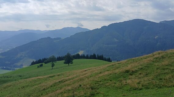 Foto von Fantom RoK entlang der Tour