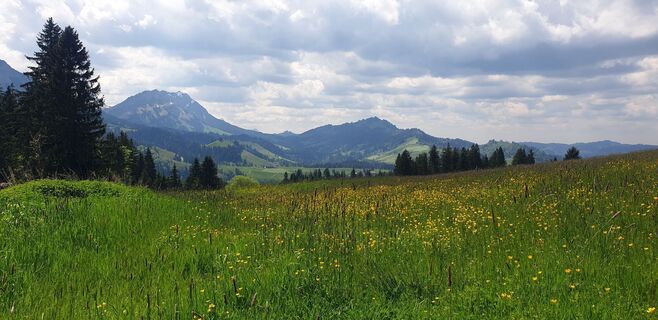 Fotó a Hans-Rudolf Held honlapról a túra során