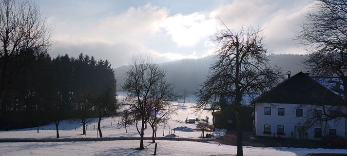 Fotografia z Frieda Schatz na trase