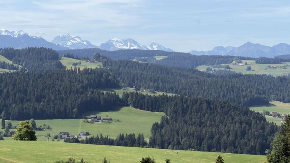 Foto von Peter Burki entlang der Tour