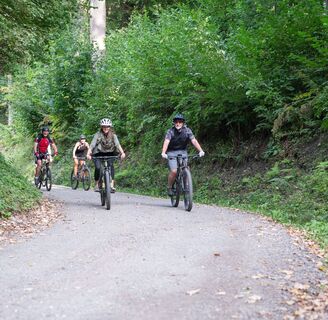 Mountainbiker im Weitental