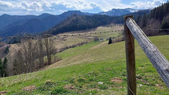 Fotografia z E.U. na trase