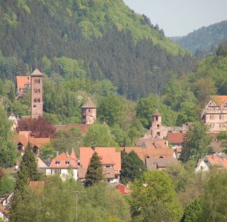 Blick auf Calw-Hirsau