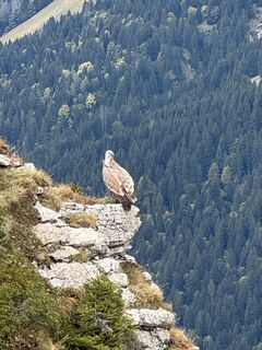 Photo de Niels Kooijman le long du parcours