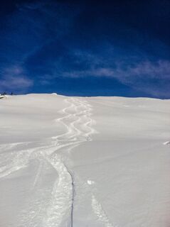 Weiter Hànge für Bilderbuch-Schwünge
