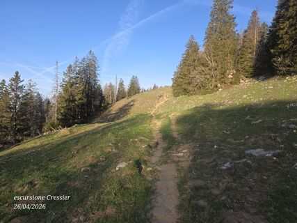 Foto von Massimo Romano 2 entlang der Tour