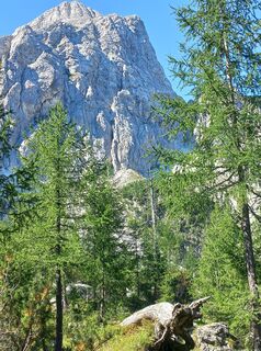 Fotografia z Christa Grailach na trase