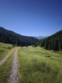 Photo de Hakuna Matata le long du parcours
