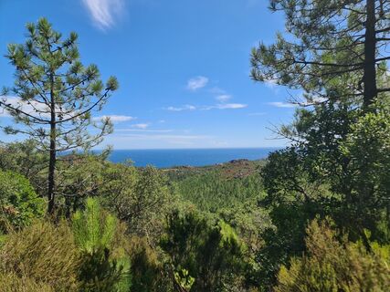 Foto de W B MA a lo largo del recorrido