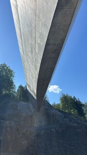 Foto von ordziege entlang der Tour