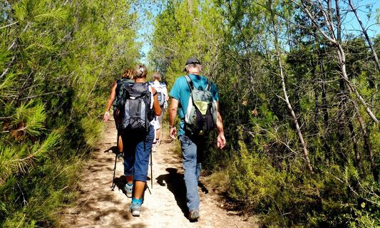 In der Garrigue_CDRP34