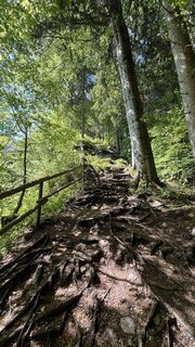 Foto von Sabrina Seidner entlang der Tour