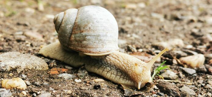 Foto von Klaus Lehner entlang der Tour