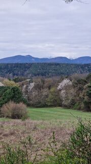 Fotografie z Claudia Maurer na trase