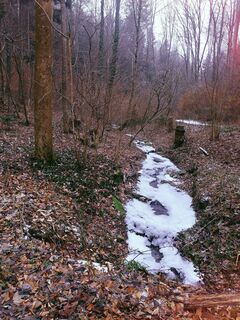 Photo from Petra S. along the tour