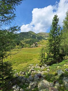Foto från Dagmar Hofer under resans gång