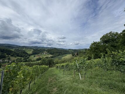 Foto von Beate Wressnig entlang der Tour
