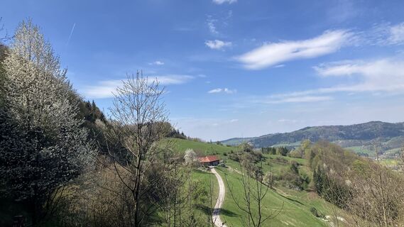 Zdjęcie z Christian Kakuska wzdłuż trasy