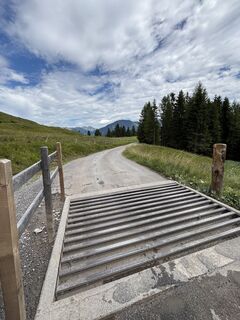 Foto van Linn Werning langs de tour