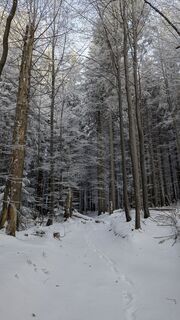 Fotografija s spletne strani TaNja85 na poti