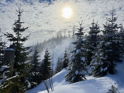 Fotografija s spletne strani Natur_erleben_dg na poti