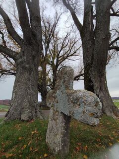 Foto de Bairebike a lo largo del recorrido