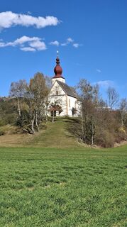 Foto de Mangolein a lo largo del recorrido