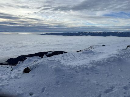 Zdjęcie z Carola Krems wzdłuż trasy