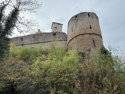 Foto da Norbert Herbig lungo il tour
