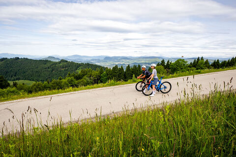 Rennrad