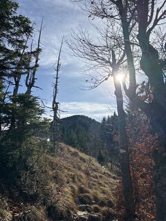 Foto de Heinz Sperl a lo largo del recorrido