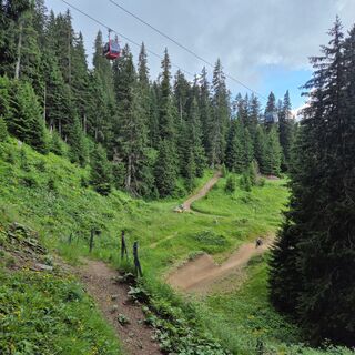 Wanderweg durch den Bike Kingdom Park